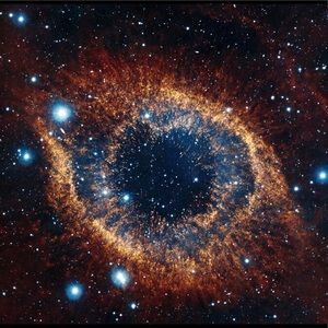 SAME DAY SHIPPING ON ALL ORDERS & 15% OFF BUNDLES